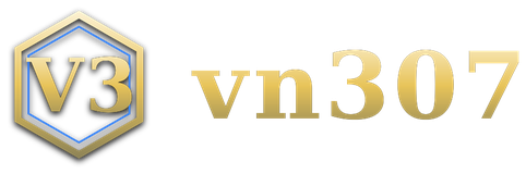vn307 logo